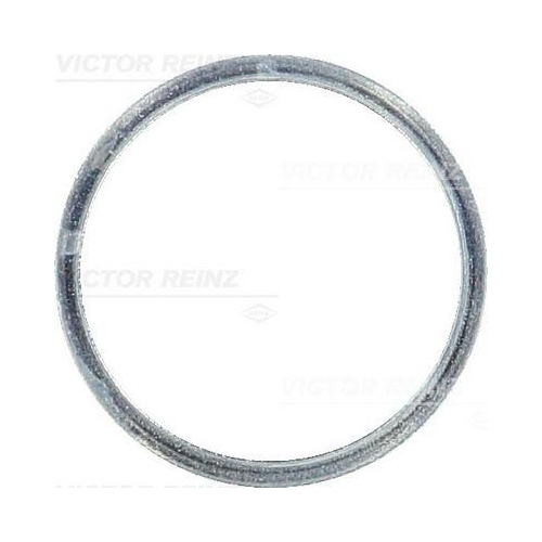 VICTOR REINZ Dichtring
