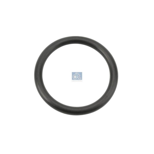 DT Spare Parts Dichtring 2.15914