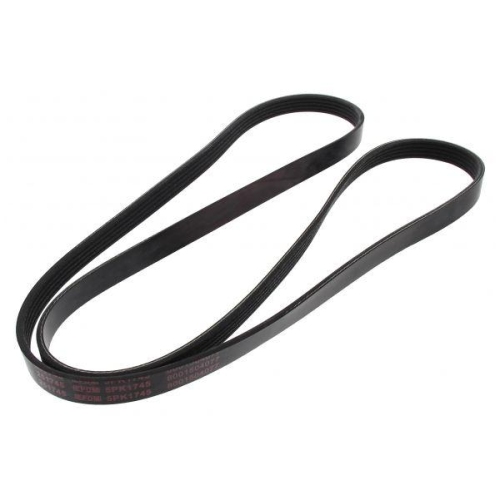 MAPCO Keilrippenriemen 251745