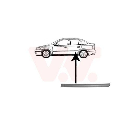 VAN WEZEL Zier-/Schutzleiste, T&uuml;r 3742425