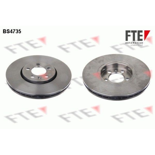 FTE Bremsscheibe 9071372