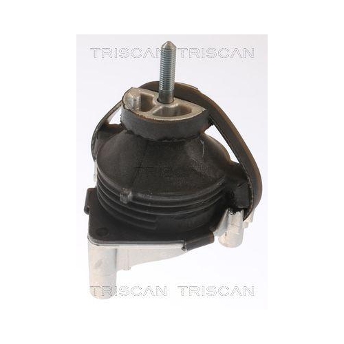 TRISCAN Lagerung, Motor 8505 65100