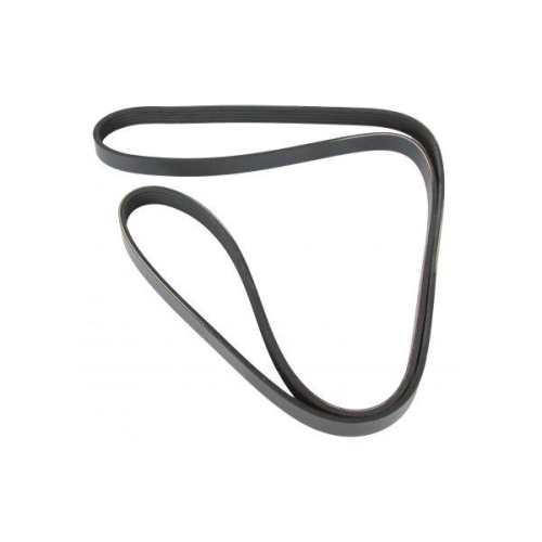 MAPCO Keilrippenriemen 251750