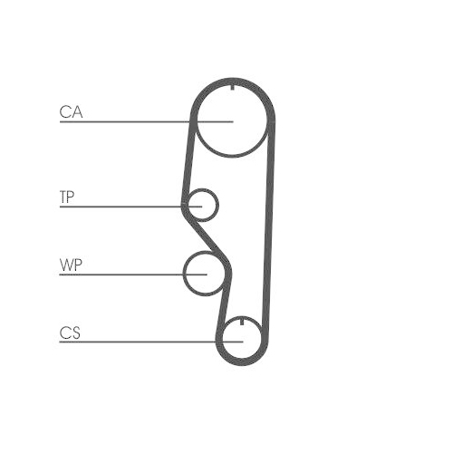 CONTINENTAL CTAM Zahnriemen CT557
