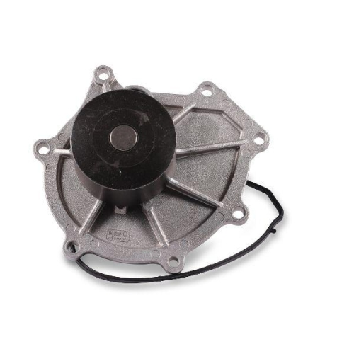 HEPU Wasserpumpe, Motork&uuml;hlung P2601