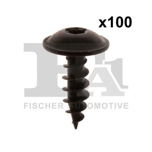 FA1 Schraube 11-70020.100