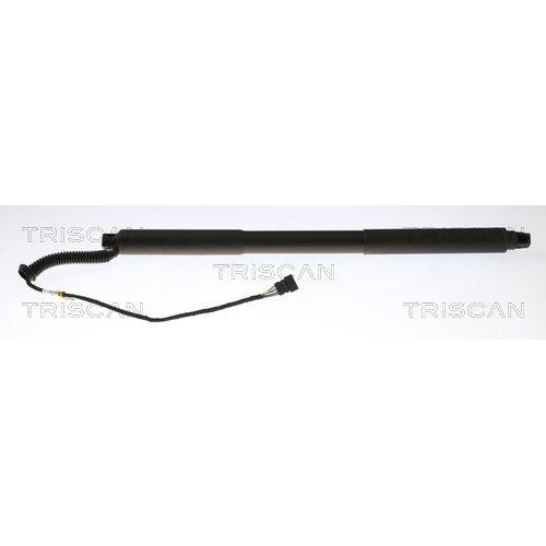 TRISCAN Gasfeder, Koffer-/Laderaum 8710 11363