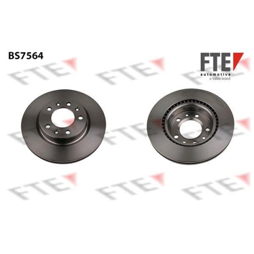 FTE Bremsscheibe 9072058