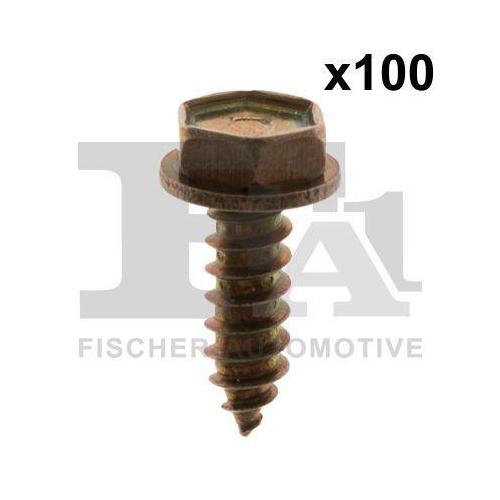 FA1 Schraube 10-70009.100