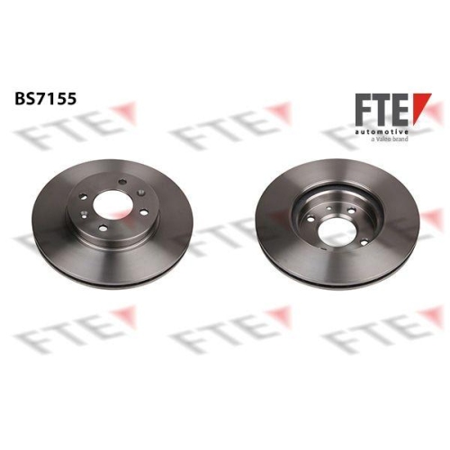 FTE Bremsscheibe 9072066