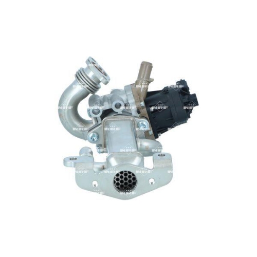 NRF AGR-Ventil 48774