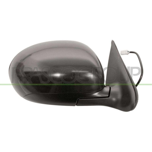 PRASCO Au&szlig;enspiegel Premium DS7007103P