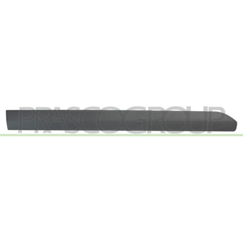 PRASCO Zier-/Schutzleiste, T&uuml;r FD6401403