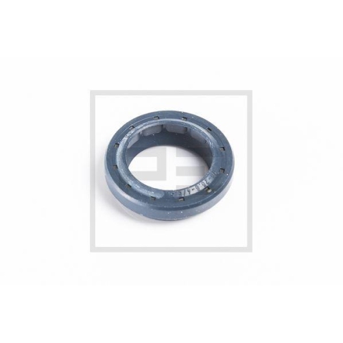 PE Automotive Wellendichtring 100.438-00A