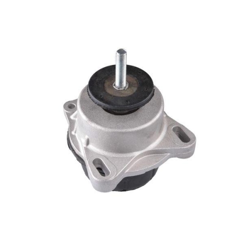 TEDGUM Lagerung, Motor