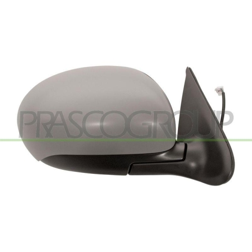 PRASCO Au&szlig;enspiegel Premium DS7007113P
