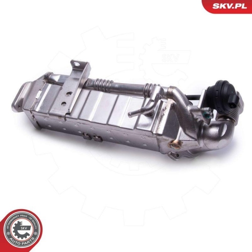 ESEN SKV AGR-Ventil 14SKV239