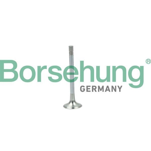 Borsehung Auslassventil