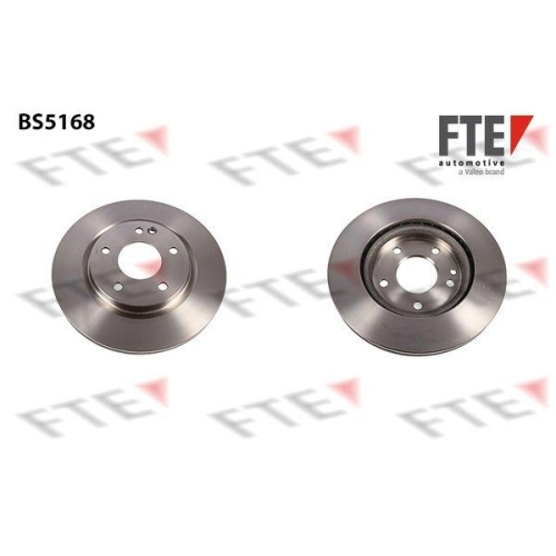 FTE Bremsscheibe 9072373