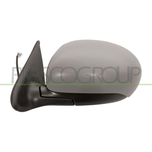 PRASCO Au&szlig;enspiegel Premium DS7007114P