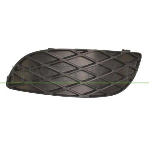 PRASCO Abdeckung, Scheinwerfer TY3241248