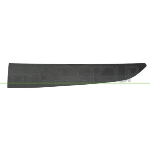 PRASCO Zier-/Schutzleiste, T&uuml;r FD6401454