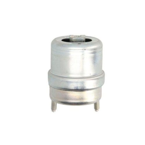 REINHOCH Lagerung, Motor RH11-0129