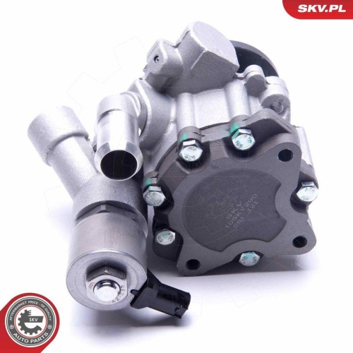 ESEN SKV Hydraulikpumpe, Lenkung 10SKV290