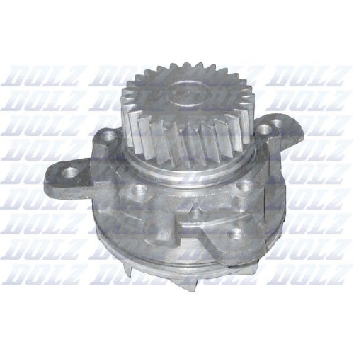 DOLZ Wasserpumpe, Motork&uuml;hlung V207
