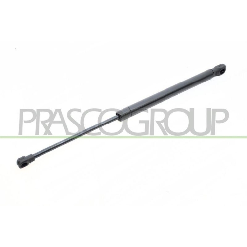 PRASCO Gasfeder, Koffer-/Laderaum BM1209055