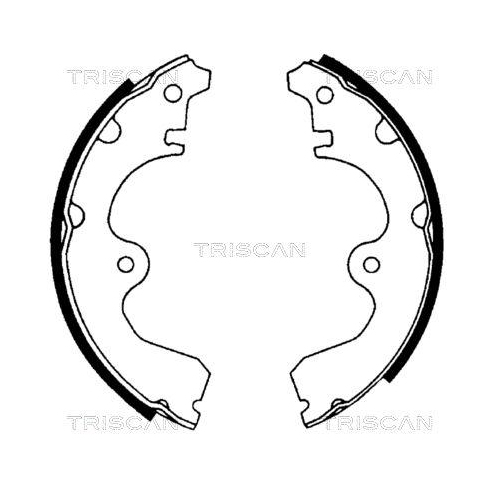 TRISCAN Bremsbackensatz 8100 13534