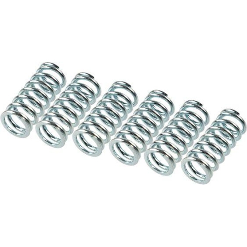 TRW Kupplungsfedernsatz MEF101-6