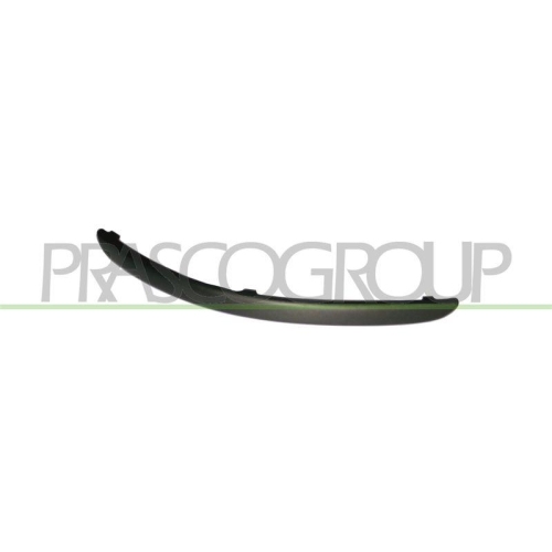 PRASCO Zier-/Schutzleiste, Sto&szlig;f&auml;nger PremiumCertified FD1091243