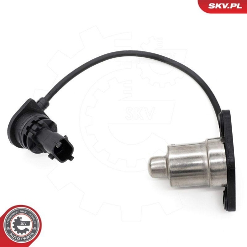 ESEN SKV Sensor, Motor&ouml;lstand 17SKV931