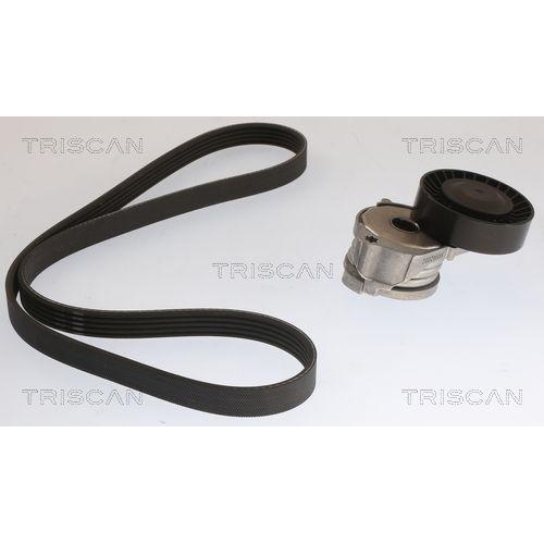 TRISCAN Keilrippenriemensatz 8642 10065