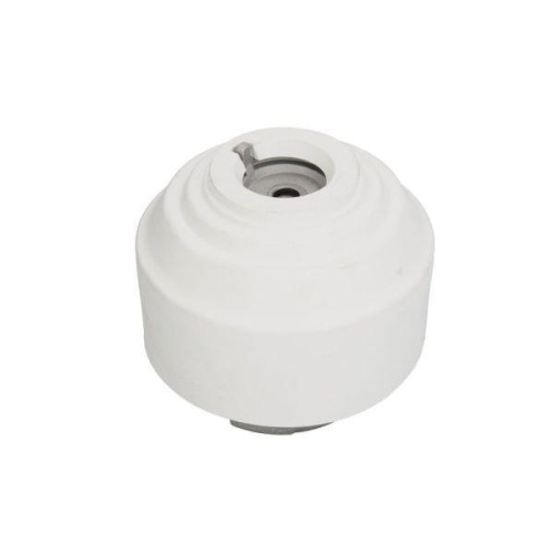 REINHOCH Lagerung, Motor RH11-3015