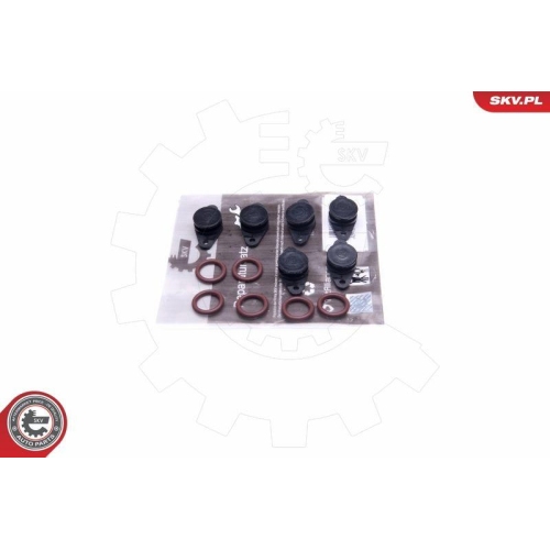 ESEN SKV Reparatursatz, Saugrohrmodul 49SKV559