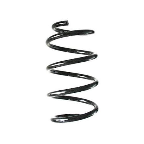 SPIDAN Fahrwerksfeder GKNW10093