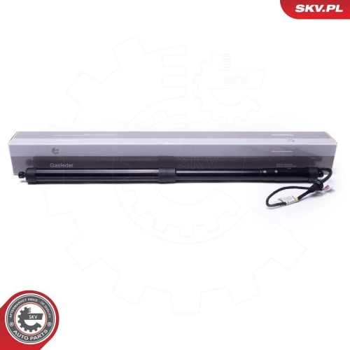 ESEN SKV Elektromotor, Heckklappe 52SKV960