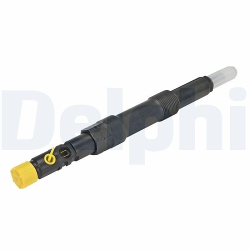 DELPHI Einspritzventil R00501Z-12B1