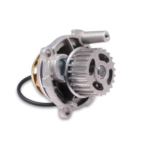 GK Wasserpumpe, Motorkühlung 980260