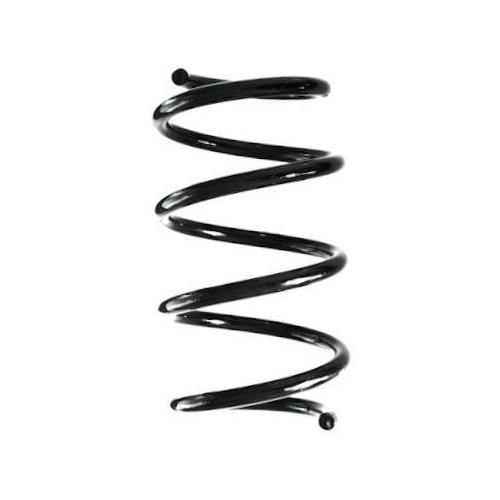 SPIDAN Fahrwerksfeder GKNW10094