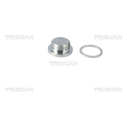 TRISCAN Verschlussschraube, &Ouml;lwanne 9500 2904