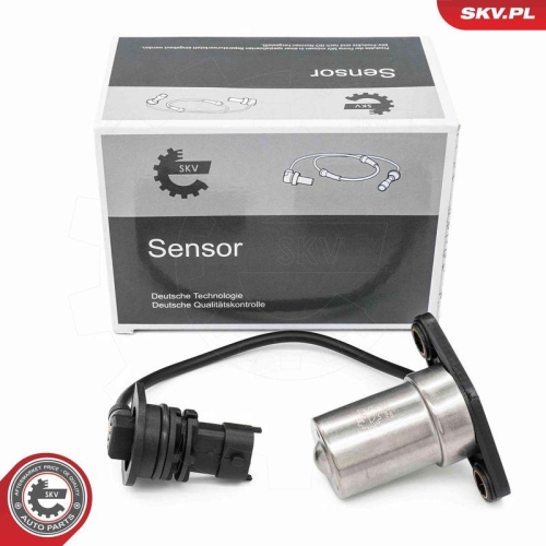 ESEN SKV Sensor, Motor&ouml;lstand