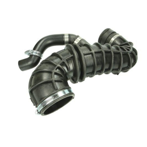 THERMOTEC Ansaugschlauch, Luftfilter DCG092TT