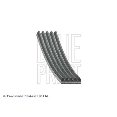 BLUE PRINT Keilrippenriemen AD05R954