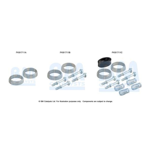 BM Catalysts Montagesatz, Katalysator FK91711