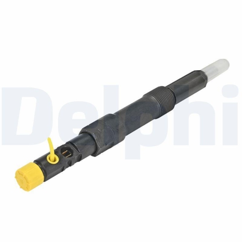 DELPHI Einspritzventil R00504Z-12B1