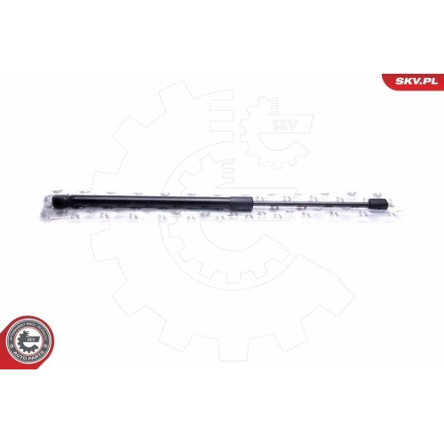 ESEN SKV Gasfeder, Koffer-/Laderaum