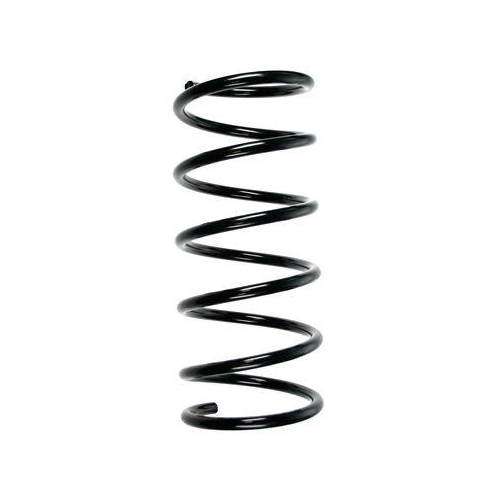 SPIDAN Fahrwerksfeder 55503